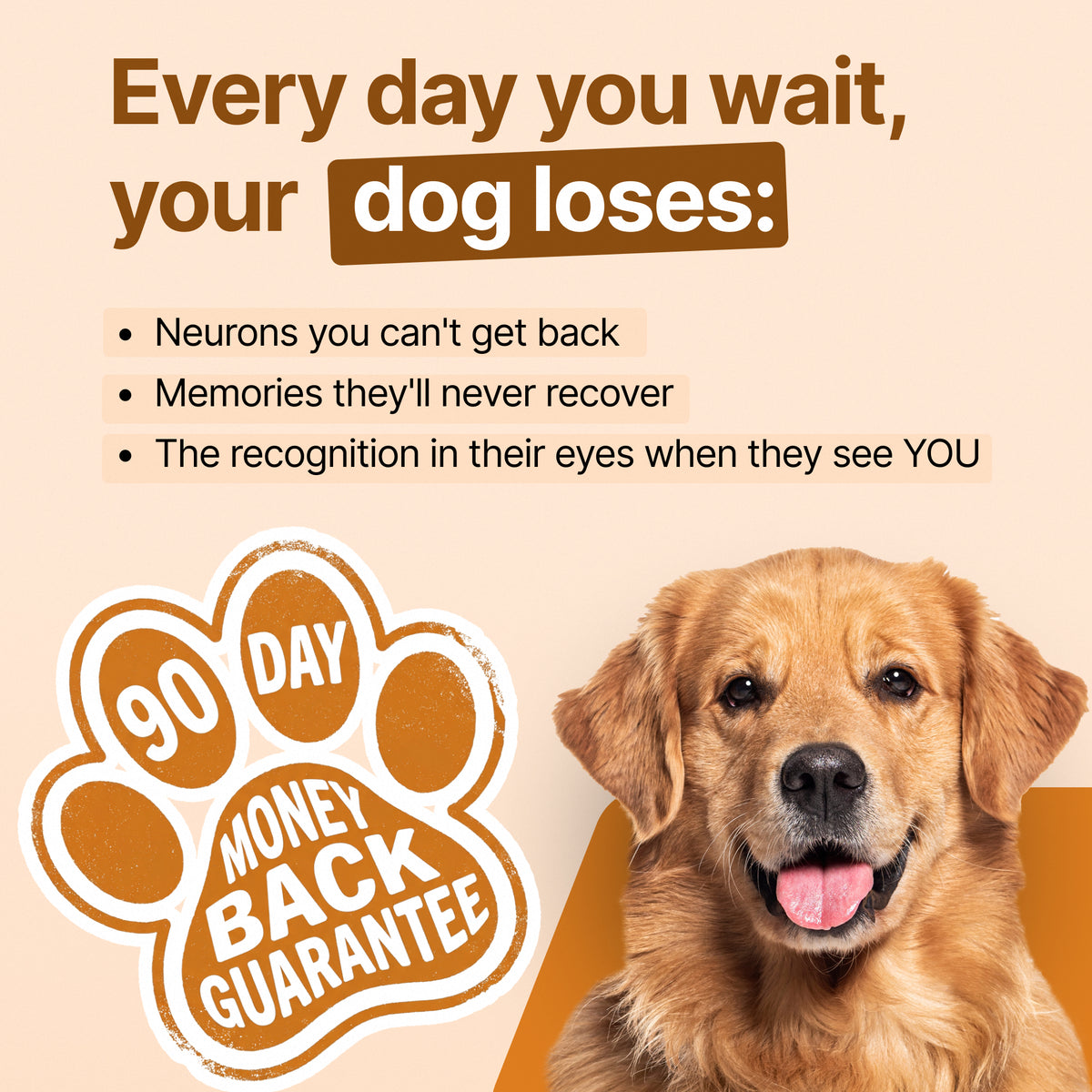 Decade Dog™ Daily Brain Health