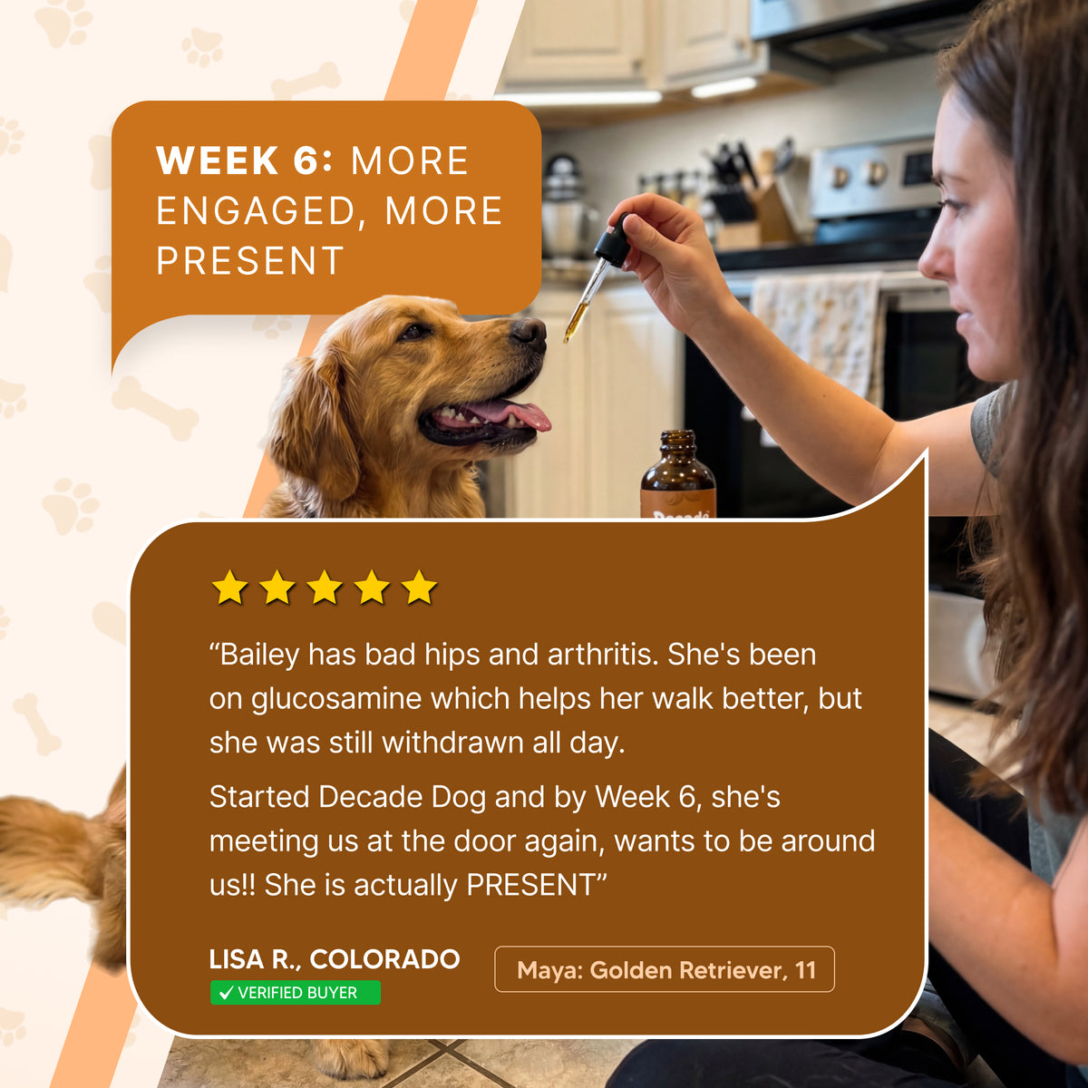 Decade Dog™ Daily Brain Health