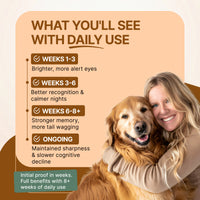 Decade Dog™ Daily Brain Health