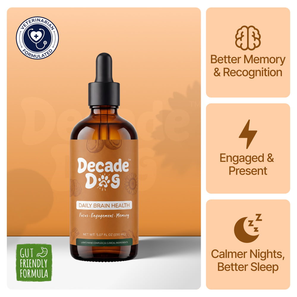 Decade Dog™ Daily Brain Health