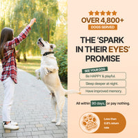 Decade Dog™ Daily Brain Health