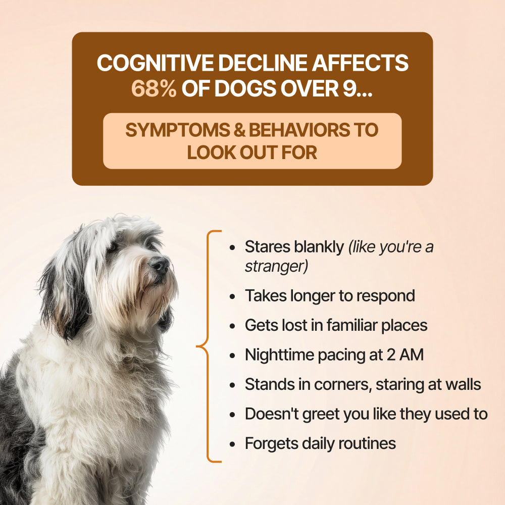 Decade Dog™ Daily Brain Health