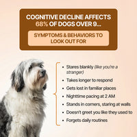 Decade Dog™ Daily Brain Health