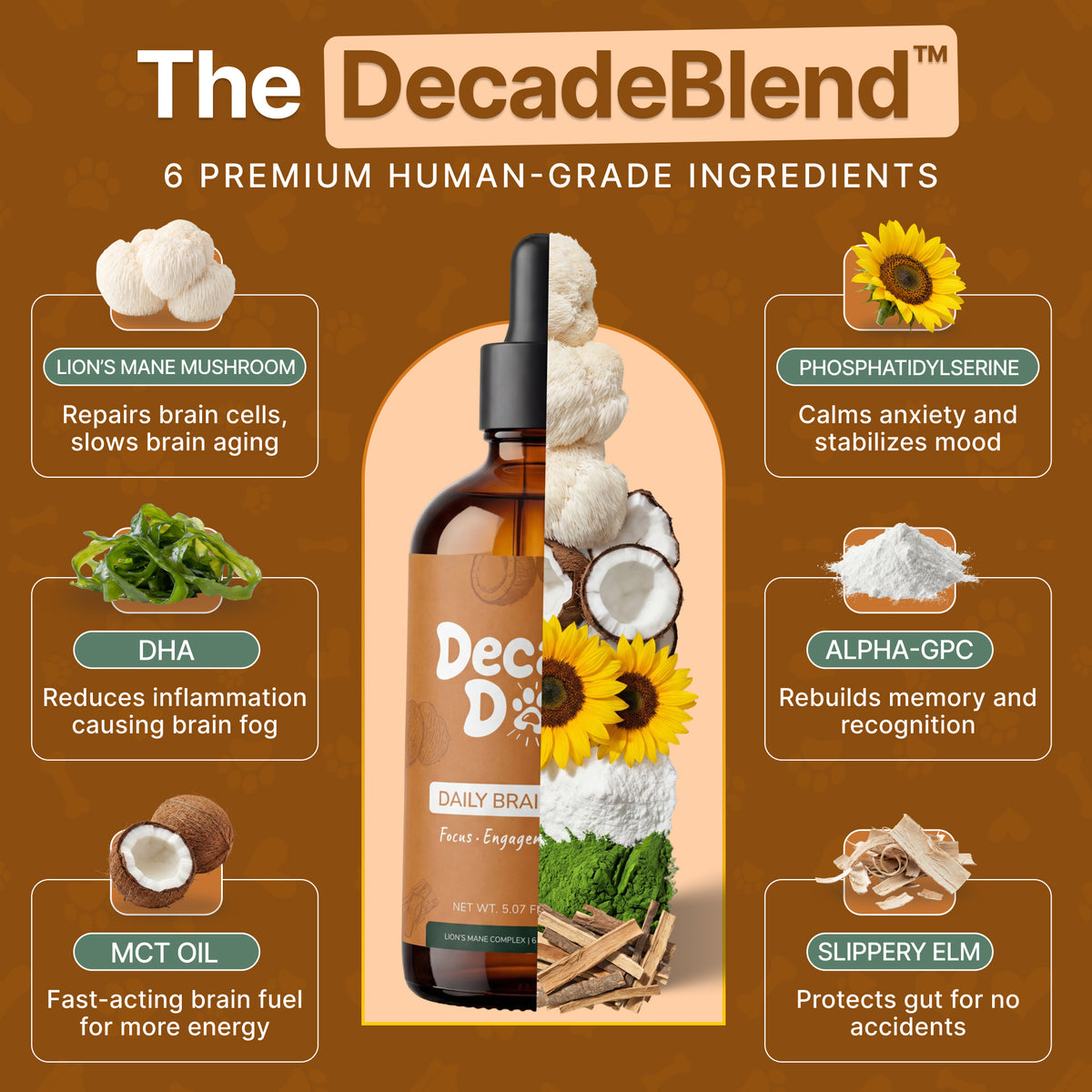 Decade Dog™ Daily Brain Health