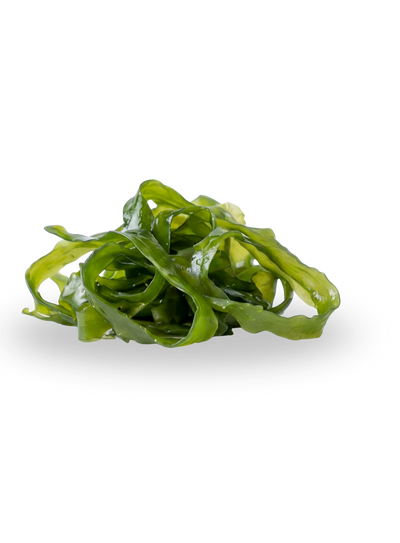 Reduced Cell Inflammation