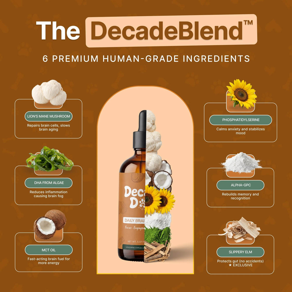 Decade Dog™ Daily Brain Health - Decade Dog