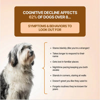 Decade Dog™ Daily Brain Health - Decade Dog