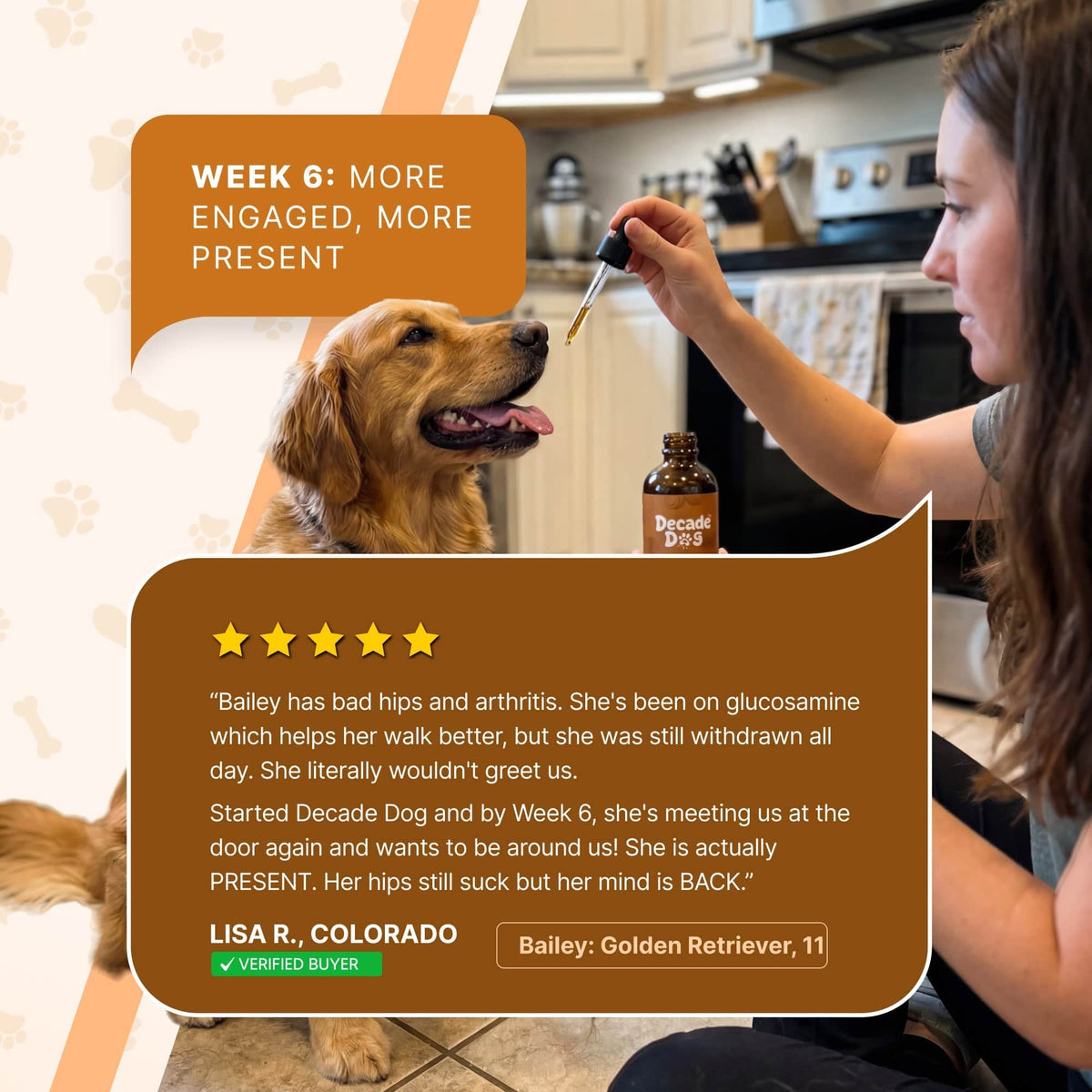 Decade Dog™ Daily Brain Health - Decade Dog