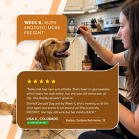 Decade Dog™ Daily Brain Health - Decade Dog