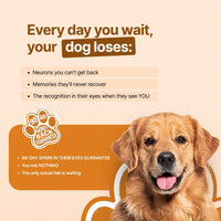 Decade Dog™ Daily Brain Health - Decade Dog