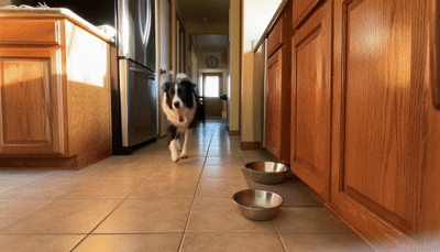 Long-Term Restoration